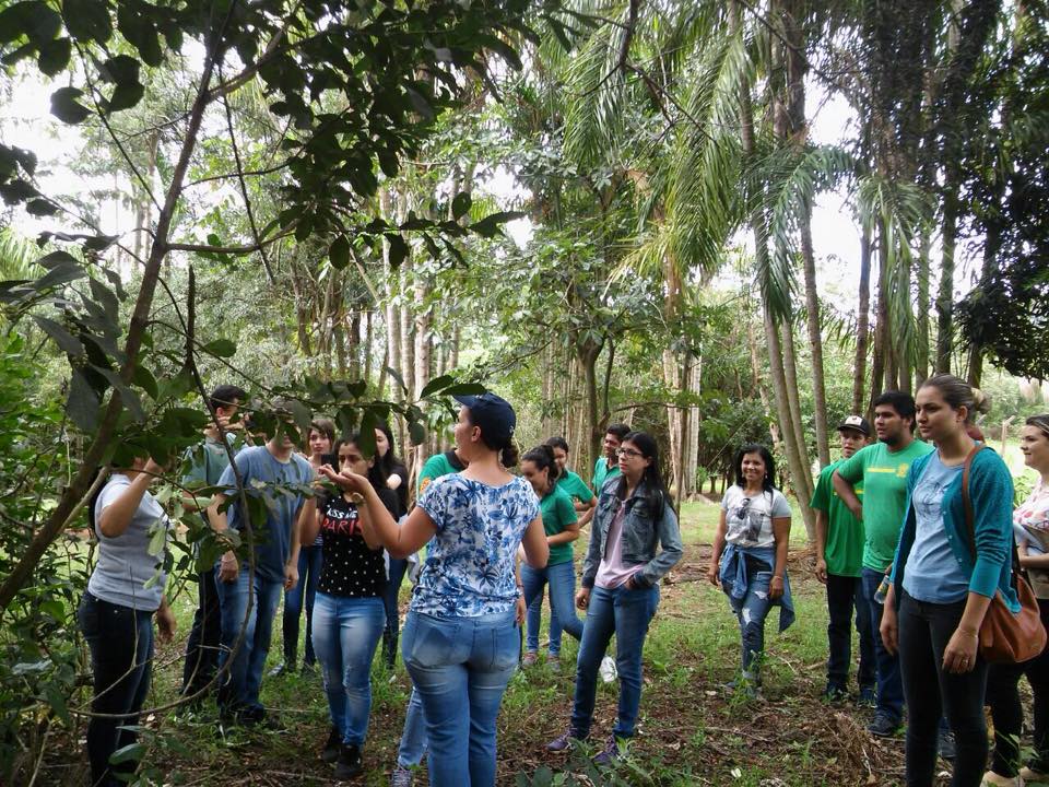 Agente vistoriando depósito a procura de focos do mosquito Aedes aegypti. (Foto: Diogo Gonçalves).