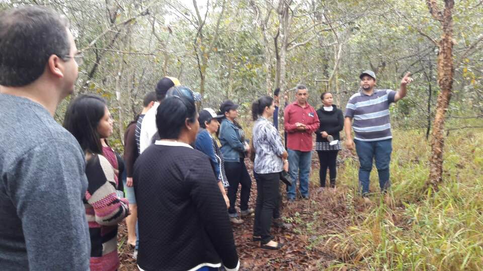 Agente vistoriando depósito a procura de focos do mosquito Aedes aegypti. (Foto: Diogo Gonçalves).