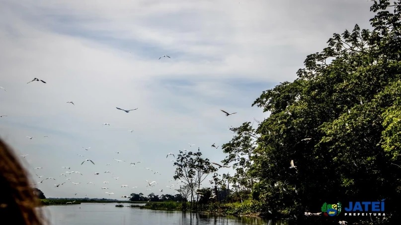 Agente vistoriando depósito a procura de focos do mosquito Aedes aegypti. (Foto: Diogo Gonçalves).