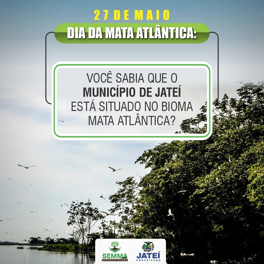 Agente vistoriando depósito a procura de focos do mosquito Aedes aegypti. (Foto: Diogo Gonçalves).